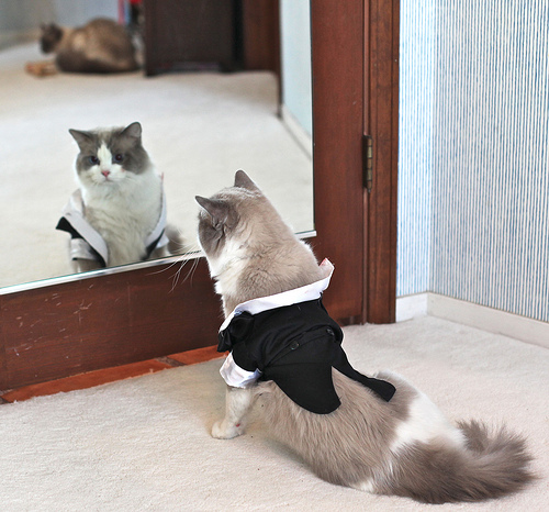 A Nervous Groom