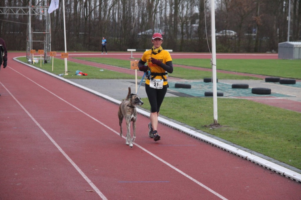 Tu perro y tu, dos grandes deportistas